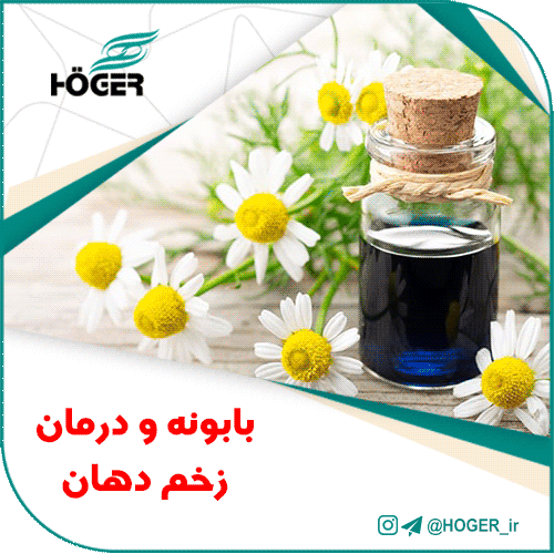 بابونه و درمان زخم دهان 15 بابونه و درمان زخم دهان